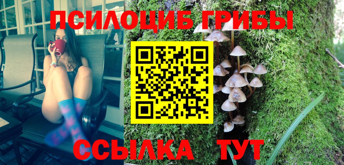 Красноярск  Галлюциногенные грибы мицелий  Галлюциногенные грибы GOLDEN TEACHER  Вход с VPN 
